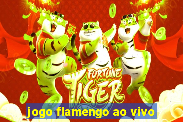 jogo flamengo ao vivo