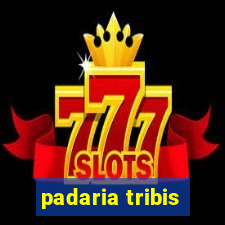 padaria tribis