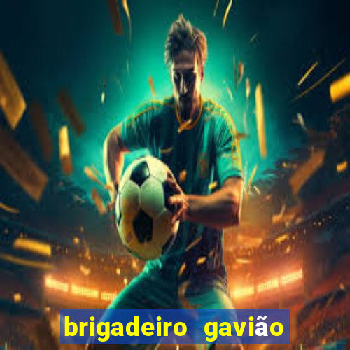 brigadeiro gavião peixoto 360