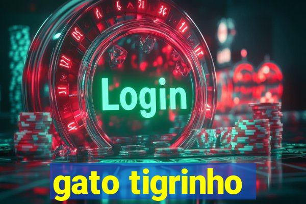 gato tigrinho