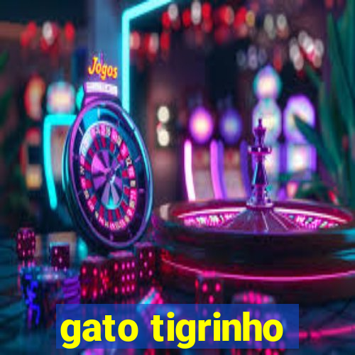 gato tigrinho