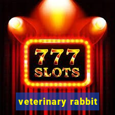 veterinary rabbit