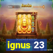 ignus 23