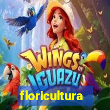 floricultura guarulhos sp