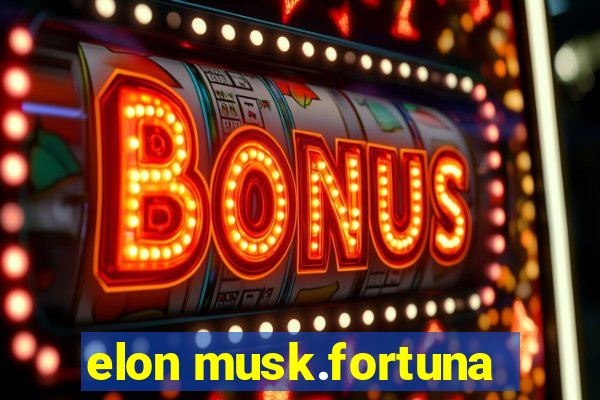 elon musk.fortuna