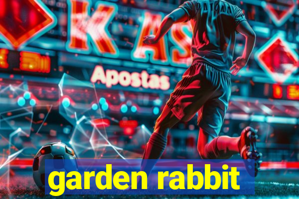 garden rabbit