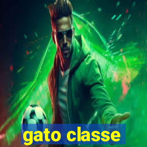 gato classe