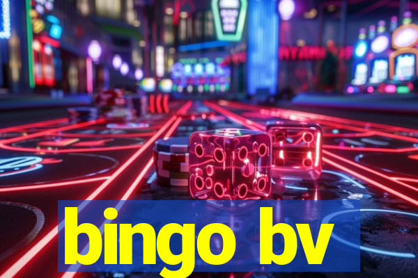 bingo bv