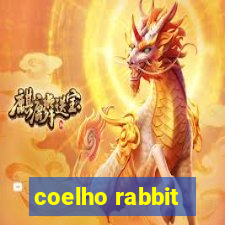 coelho rabbit