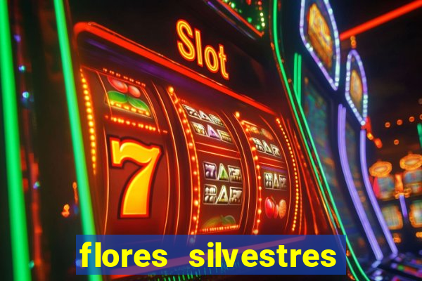 flores silvestres desbravadores desbravadores 25 flores silvestres e seus nomes