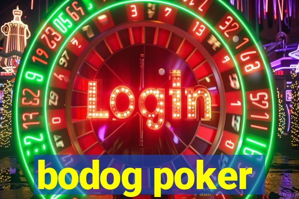 bodog poker