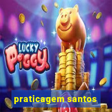 praticagem santos