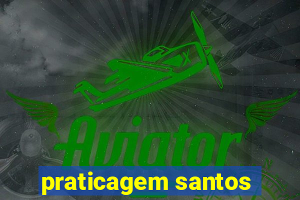 praticagem santos