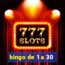 bingo de 1 a 30