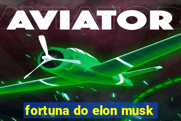 fortuna do elon musk