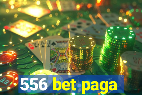 556 bet paga