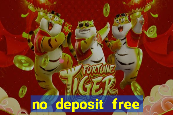 no deposit free bingo bonus