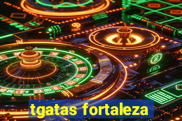 tgatas fortaleza