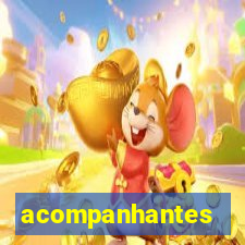 acompanhantes peludas em sp