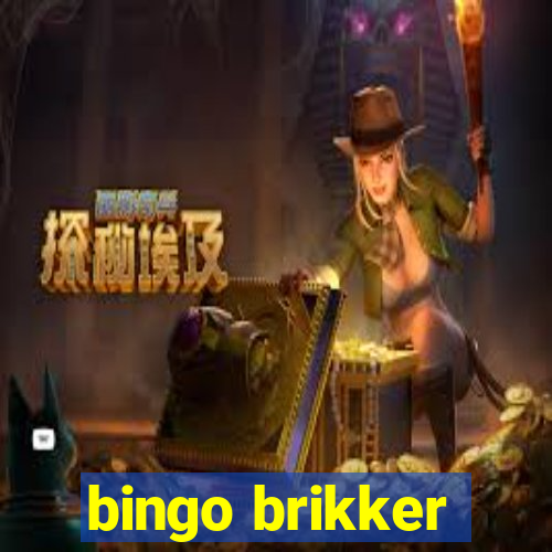 bingo brikker