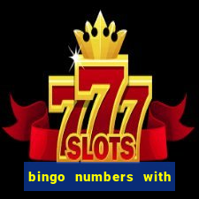 bingo numbers with highest probability