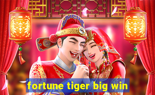 fortune tiger big win