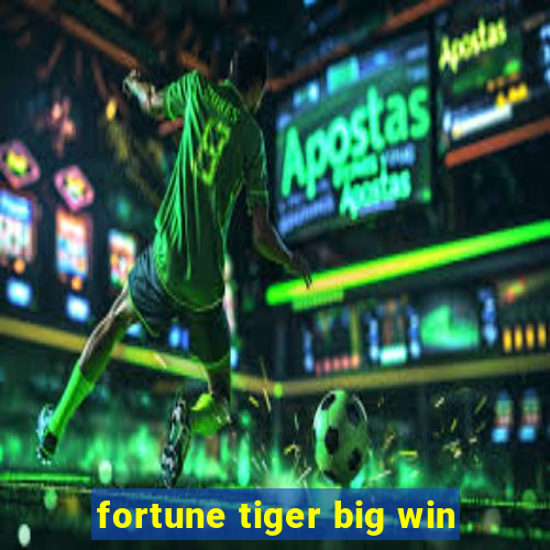 fortune tiger big win