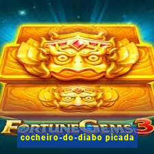 cocheiro-do-diabo picada