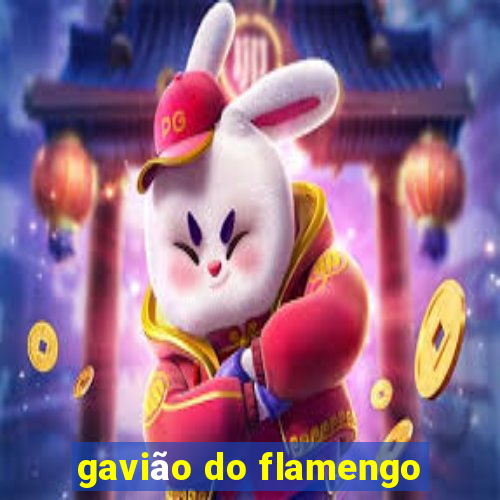 gavião do flamengo