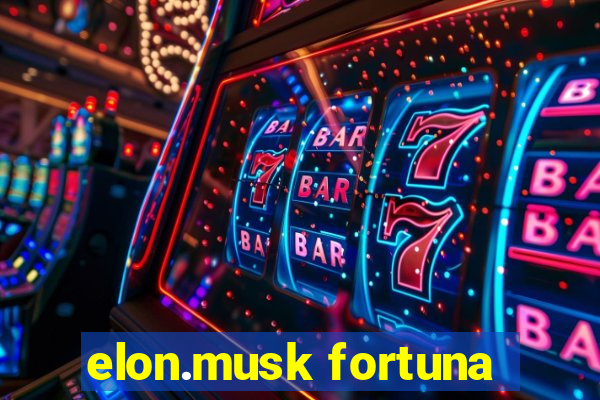 elon.musk fortuna