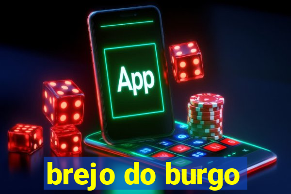 brejo do burgo