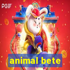 animal bete