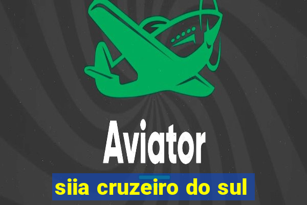 siia cruzeiro do sul