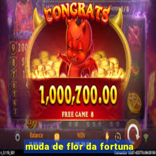 muda de flor da fortuna