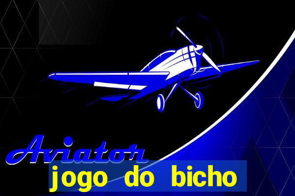 jogo do bicho aposta certa