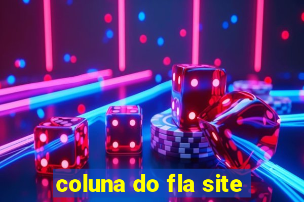 coluna do fla site