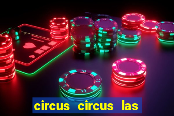 circus circus las vegas hotel and casino