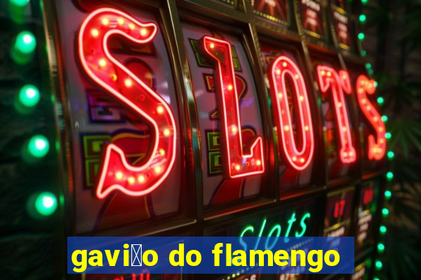 gavi茫o do flamengo