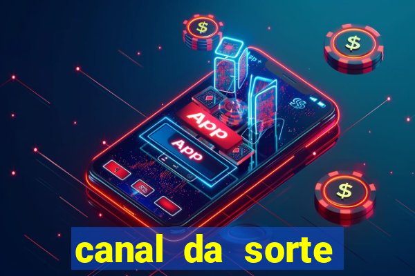 canal da sorte bingo de hoje