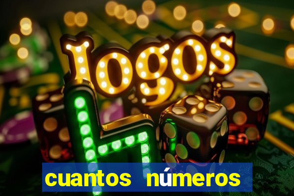 cuantos números tiene el bingo