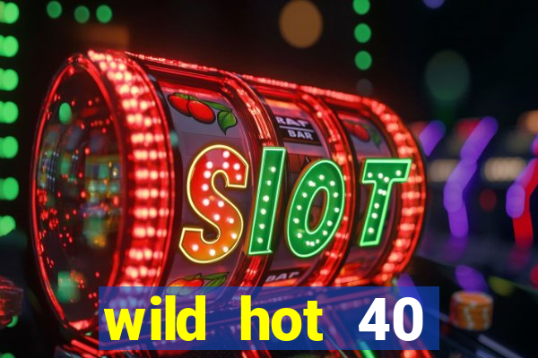 wild hot 40 christmas slot