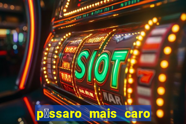 p谩ssaro mais caro do mundo