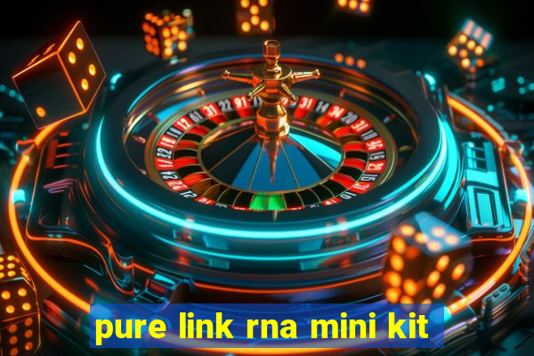 pure link rna mini kit