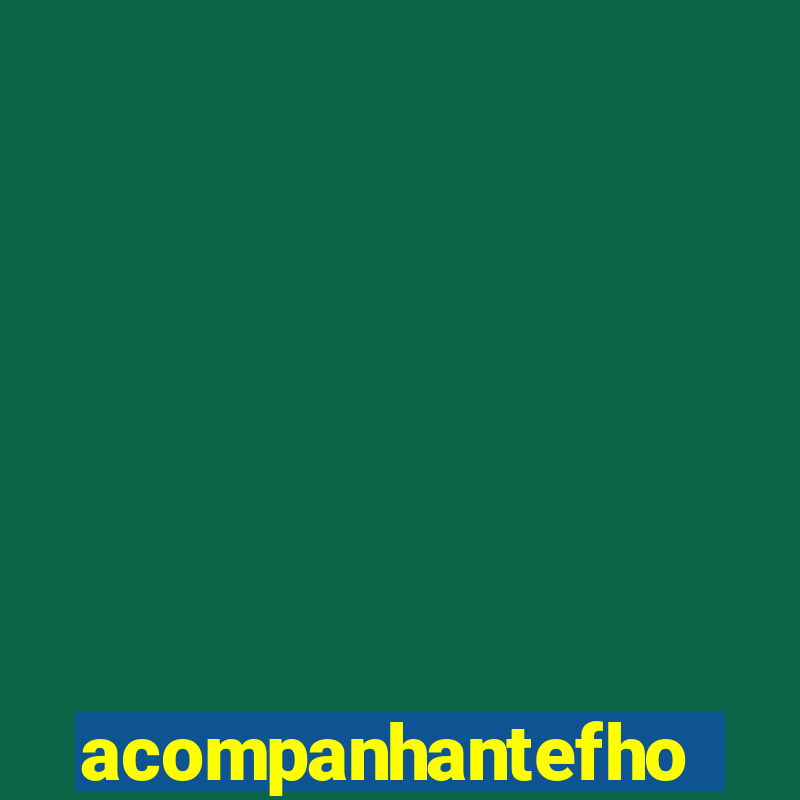 acompanhantefhoto