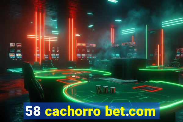 58 cachorro bet.com