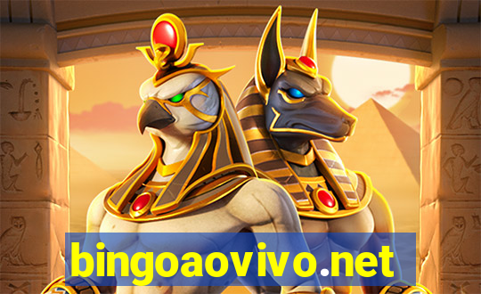 bingoaovivo.net