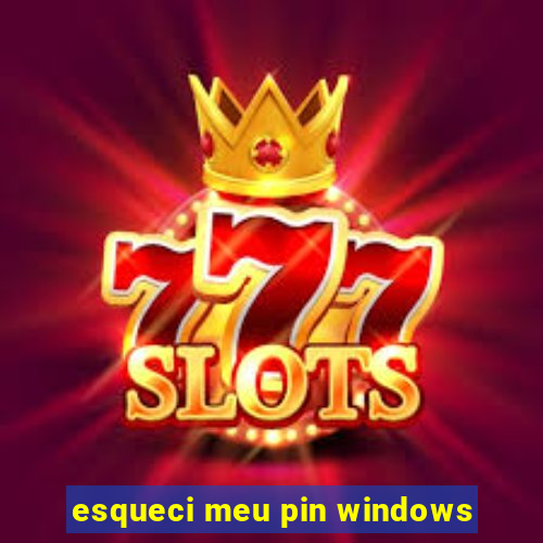 esqueci meu pin windows