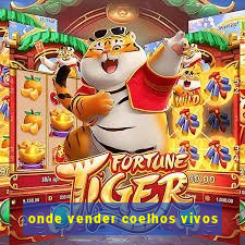 onde vender coelhos vivos