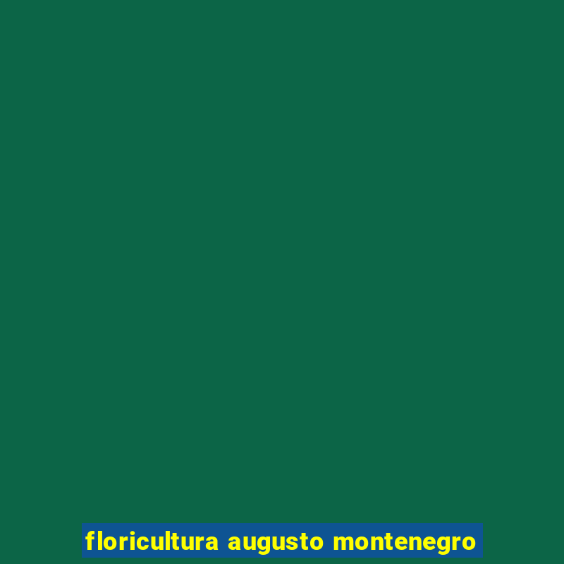 floricultura augusto montenegro