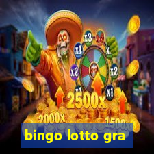 bingo lotto gra